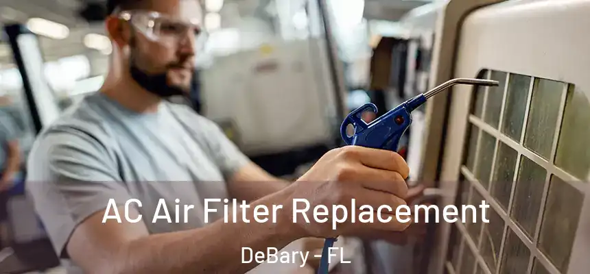 AC Air Filter Replacement DeBary - FL