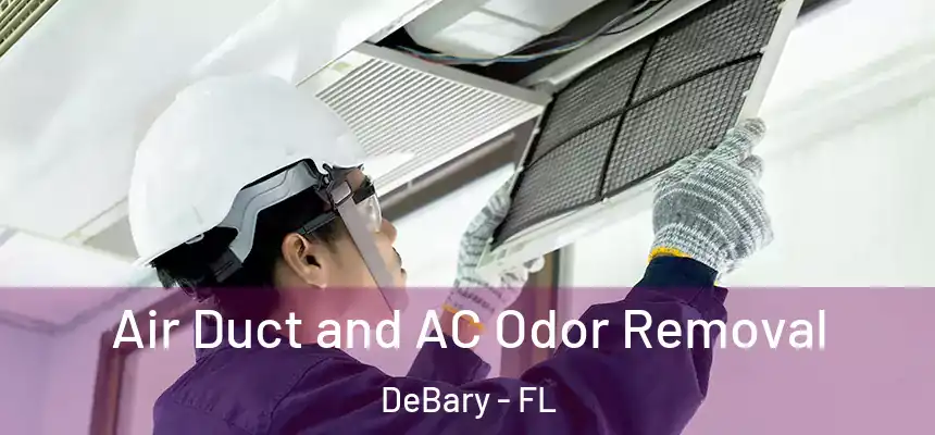 Air Duct and AC Odor Removal DeBary - FL