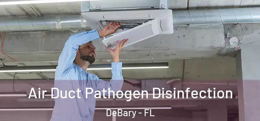  Air Duct Pathogen Disinfection DeBary - FL