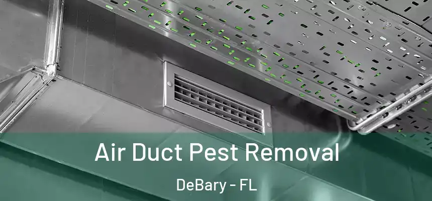 Air Duct Pest Removal DeBary - FL
