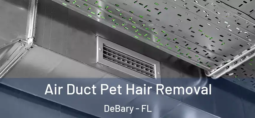  Air Duct Pet Hair Removal DeBary - FL