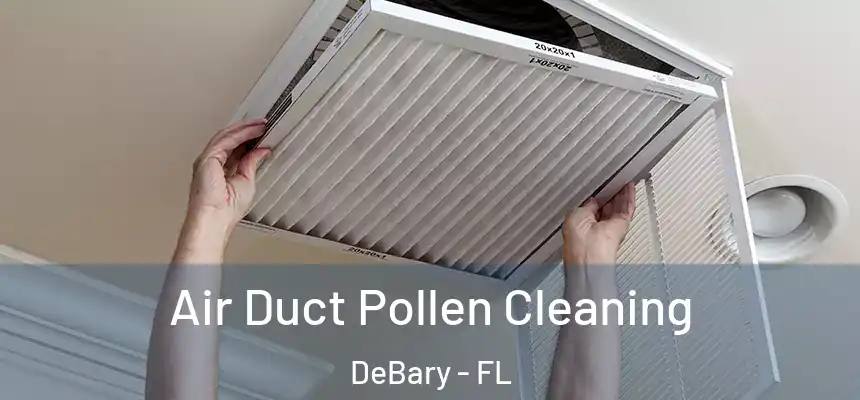 Air Duct Pollen Cleaning DeBary - FL