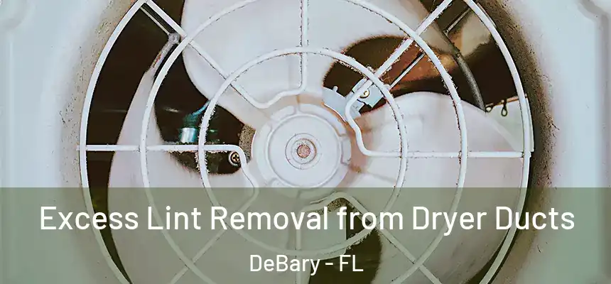 Excess Lint Removal from Dryer Ducts DeBary - FL