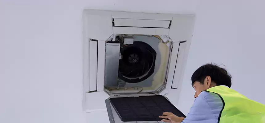 Our Dryer Vent Sanitization Service Services in DeBary, FL