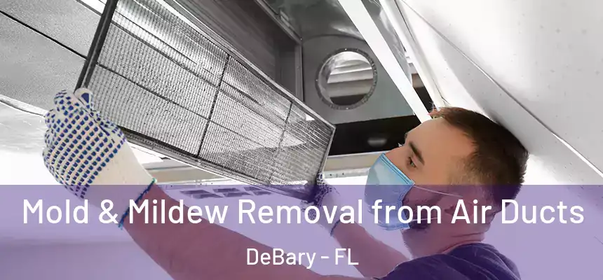 Mold & Mildew Removal from Air Ducts DeBary - FL