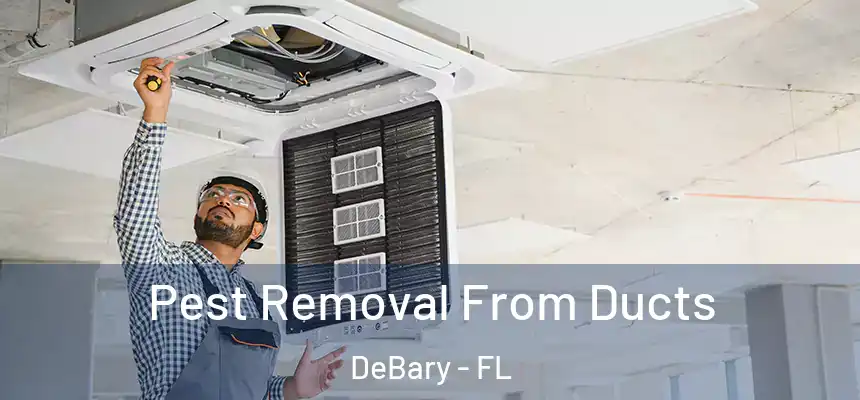  Pest Removal From Ducts DeBary - FL