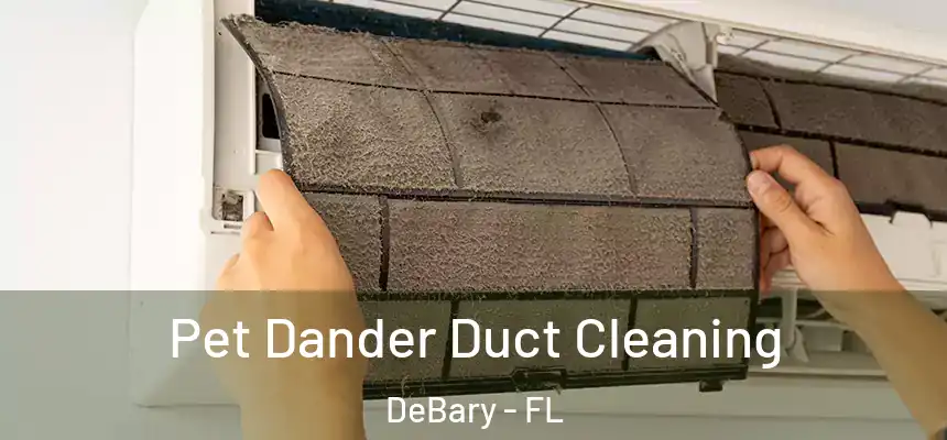 Pet Dander Duct Cleaning DeBary - FL