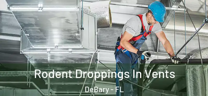  Rodent Droppings In Vents DeBary - FL