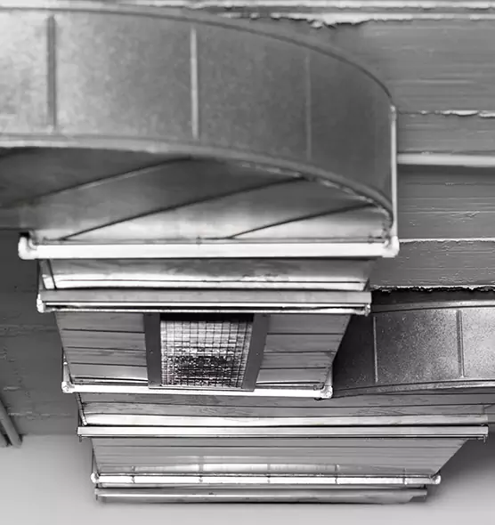 Professional Air Duct Pet Hair Removal in DeBary, FL