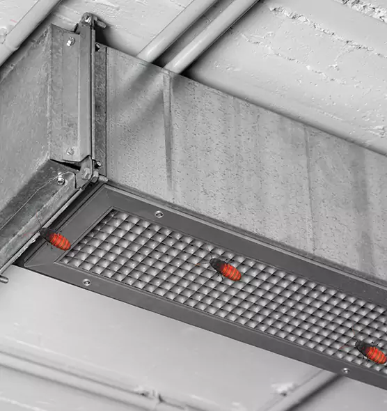 Affordable Insect Removal from Air Ducts in DeBary, FL