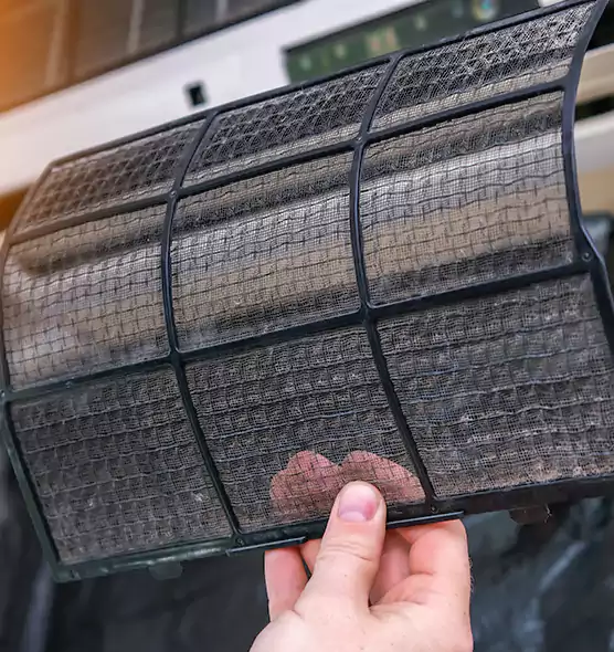About Pet Dander Duct Cleaning in DeBary, FL